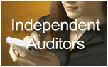 Auditor-for-web-png24.png